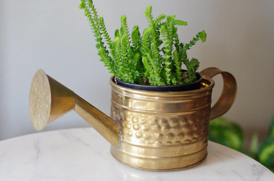 Small Vintage Brass Watering Can Planter, Decor, Indoor Planter Pot