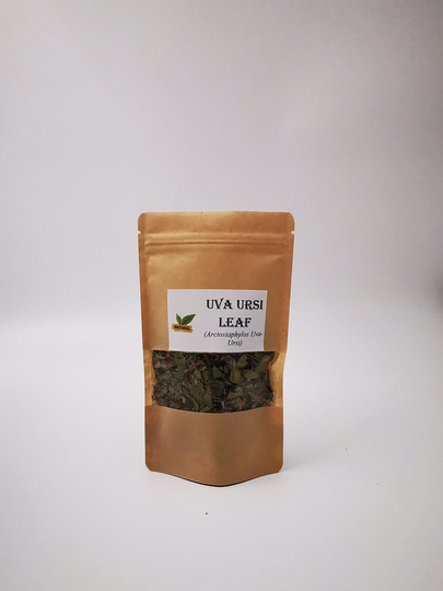 Uva Ursi Leaf | Organic Tea Bearberry