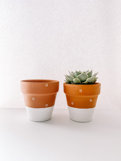 Painted Mini Succulent Plant Pot | Small Terracotta