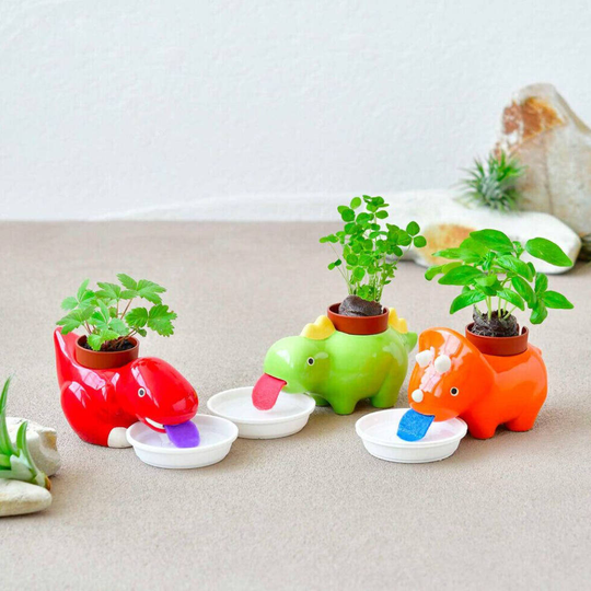 Drinking Dinosaur Planter