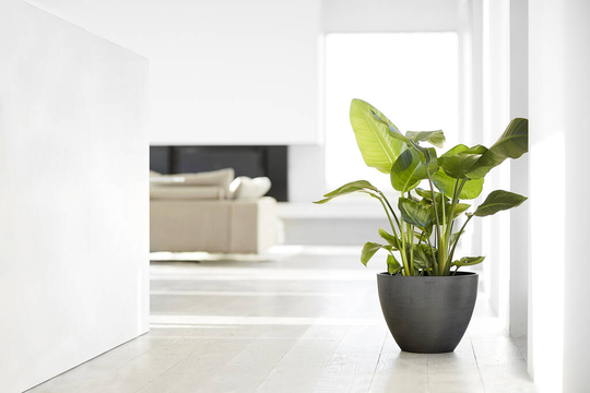 Ecopots Antwerp Plant Pot Made From Recycled Plastic