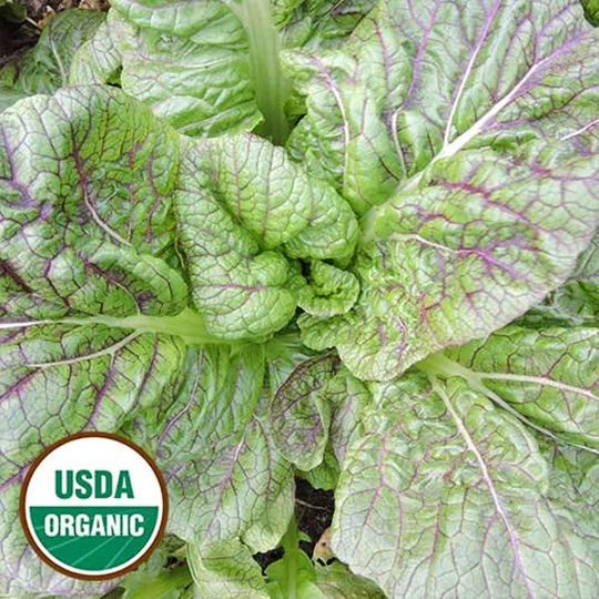 Mustard Hyakka Organic Seed 50
