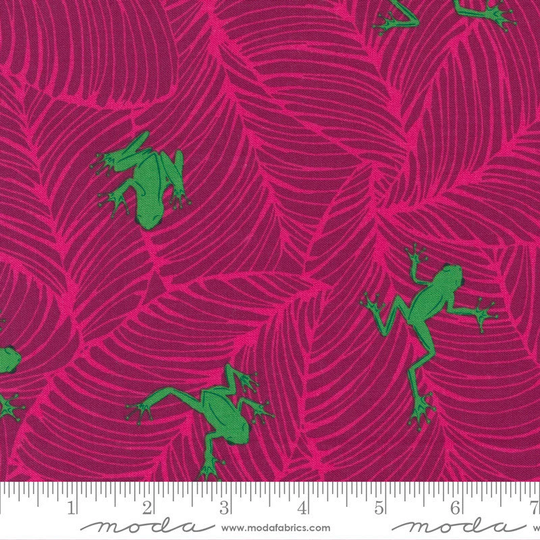 Jungle Paradise Hibiscus Oh Froggy Yardage By Stacy Iest Hsu | Sku #20786-17