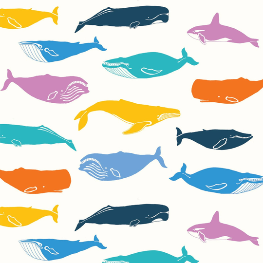 Just For Fun Iii Whales On Organic Cotton Poplin Birch Fabrics Jff3-08 - Fabric ~ Choose Your Cut