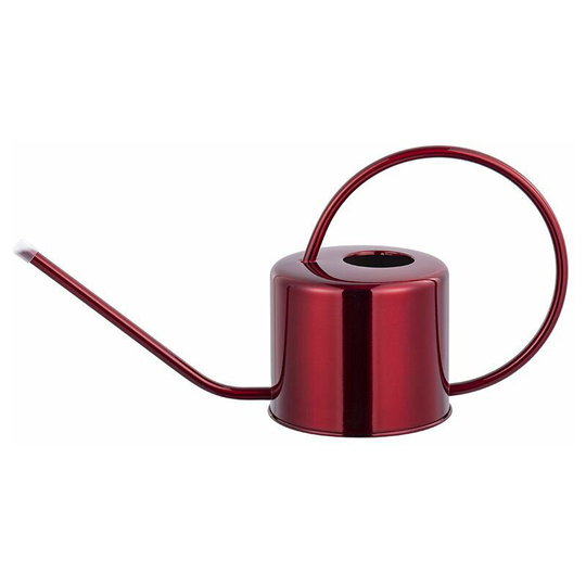 Thsinde - Small 1.3L Indoor Watering Can - Polished Galvanized Powder Coated Steel - For Indoor Plants Modern Metal Design with Narrow Spout and Tall