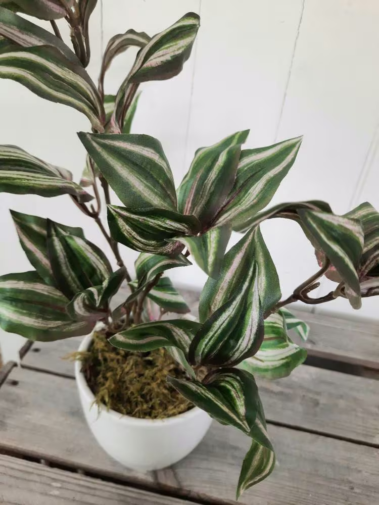 Faux Tradescantia Houseplant