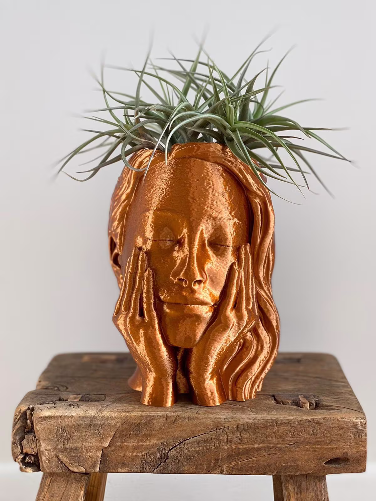 Face Planter - Woman Head Pot 3D Printed With Drainage Box Unique Brass
