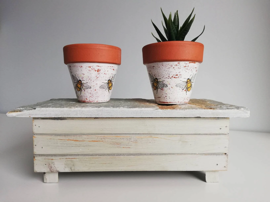 Decoupage Bee Pots - Plant Small Succulent Cactus Herbs Bumble Terracotta Bees