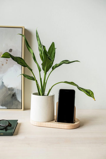 Stak Ceramics Flora Planter Phone Stand With Maple Base