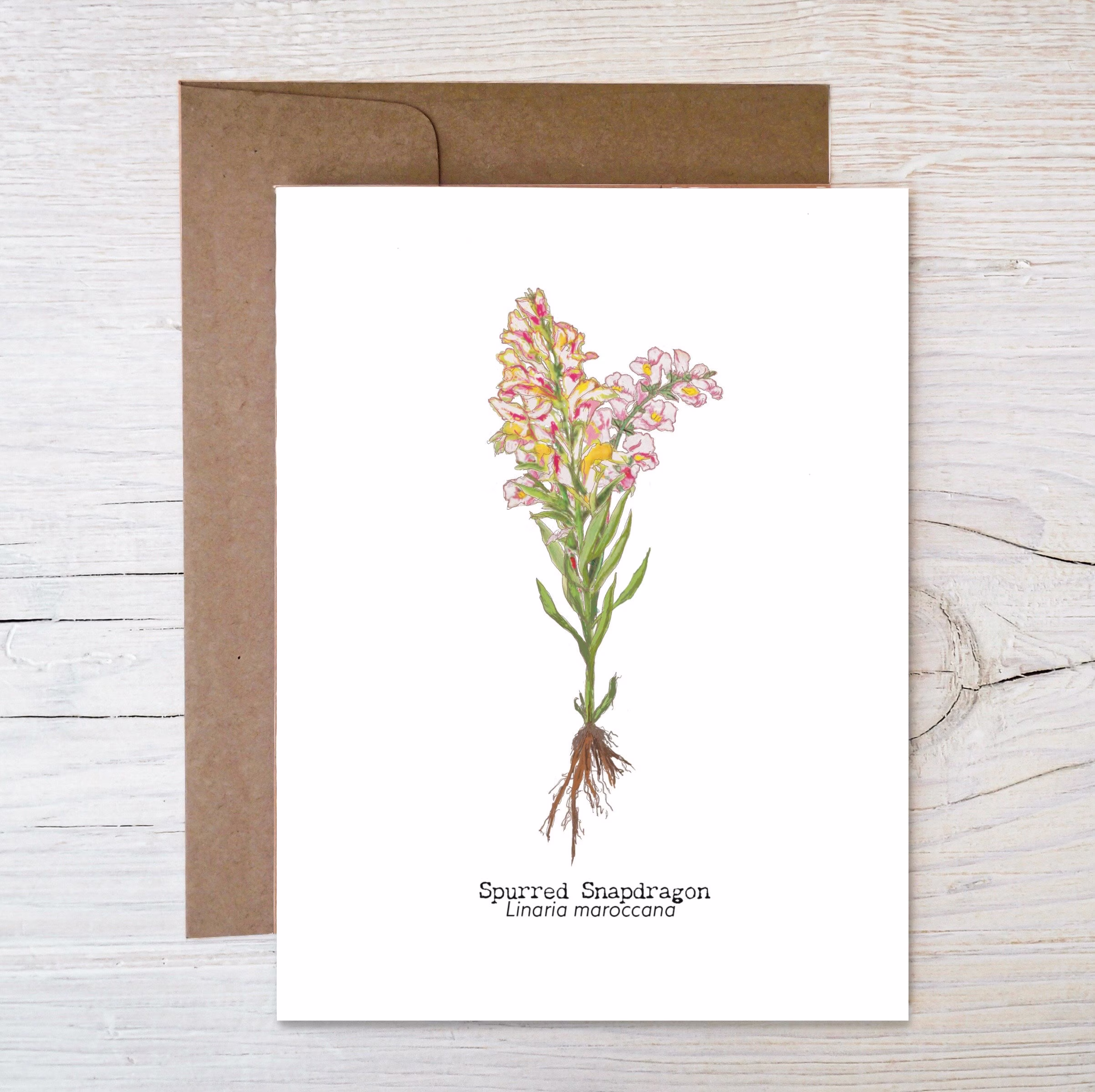 Seed Greeting Card ~ Plantable Wildflower Painted Image Of Spurred Snapdragons Eco Friendly Blank Inside