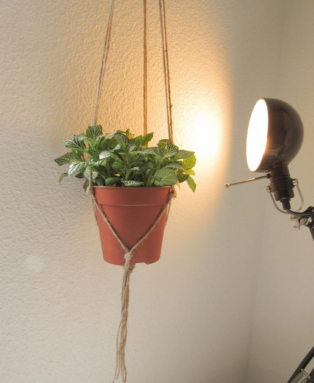 Macrame Jute Plant Hanger