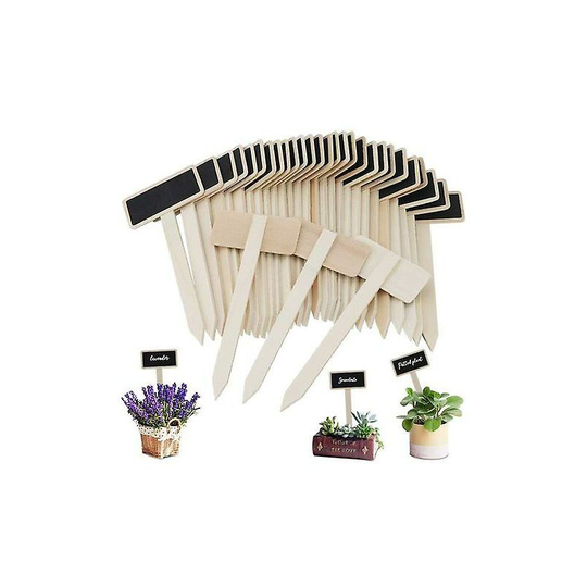 Gardening Tool Plant Label, Suitable For Flowerpot Seed Vegetable Label (60 Pieces) - Thsinde