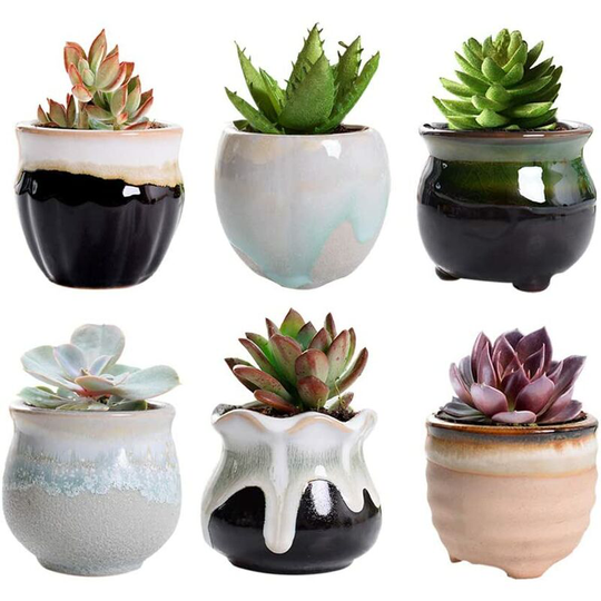 6 Pcs Ceramic Flower Pot Mini Pot Succulents Cactus Plant Pot for Home Garden Office Decoration (6 pcs)