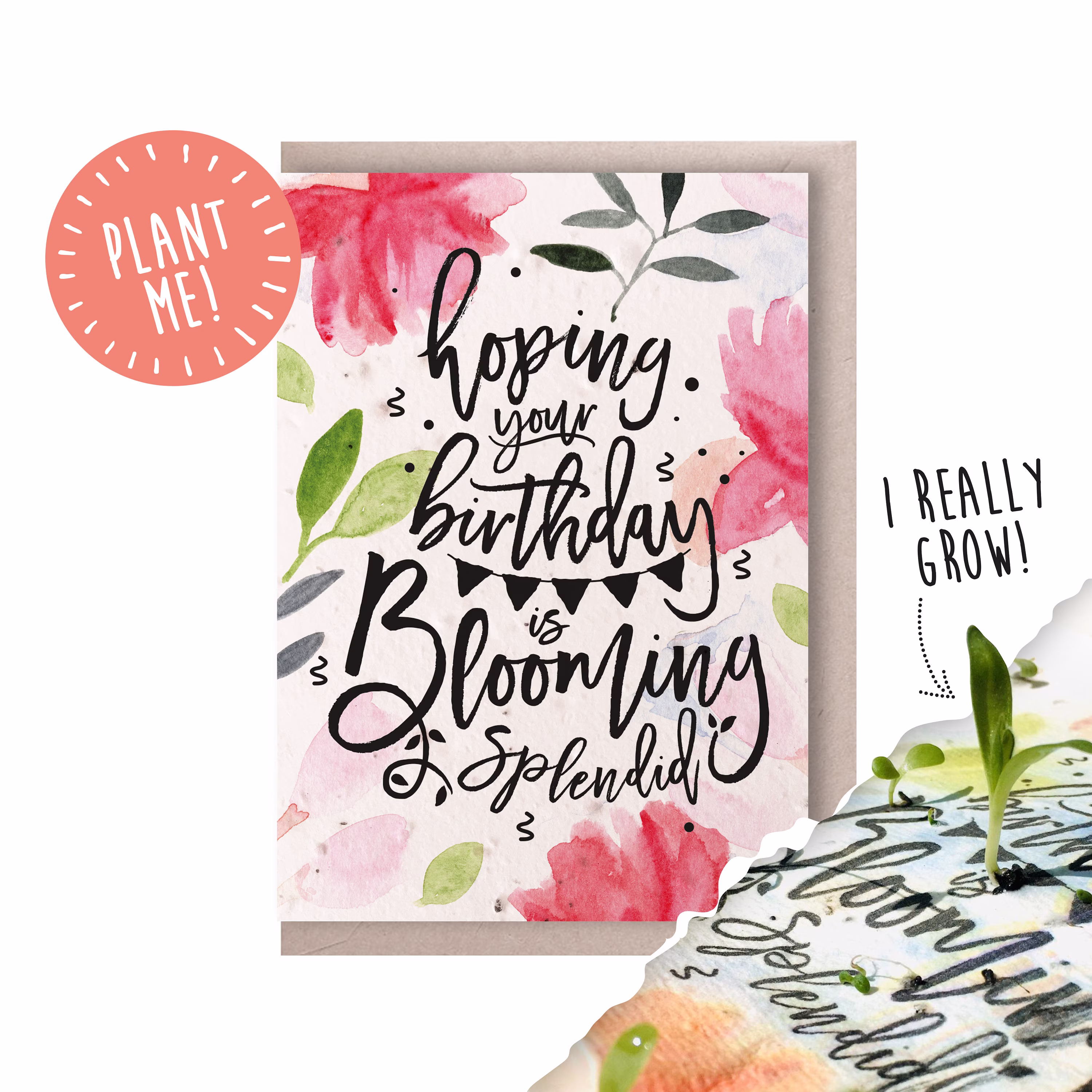 Plantable Birthday Card/Seed Paper Blooming Splendid Eco-Friendly 100% British Wildflowers