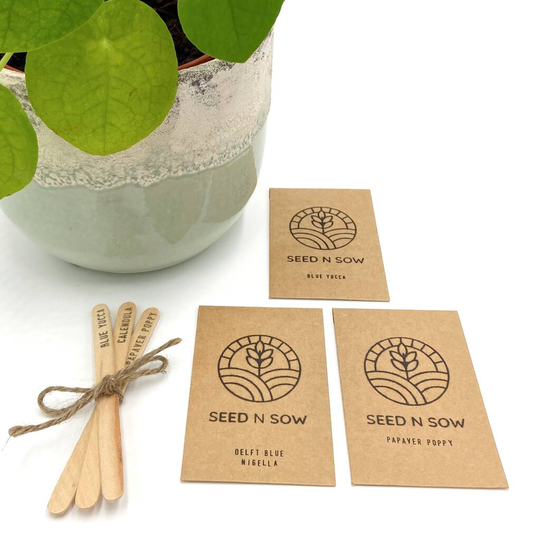 Grow Your Own Simply Flowers House Plants Seeds Kit