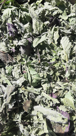 Dried Mint Medley