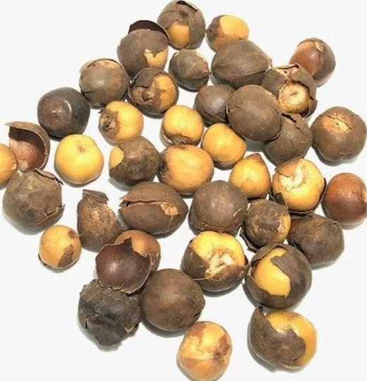 Country Onion, Afrostyrax Lepidophyllus, 50G/10 Usd, Shipping Is 10 Usd