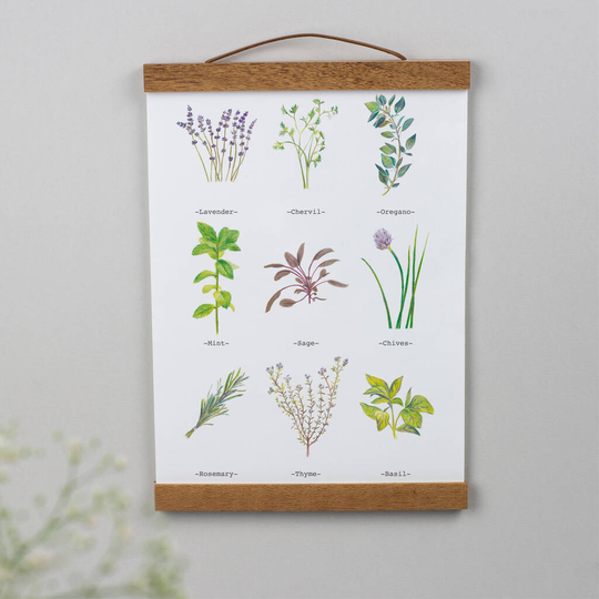 Herbs And Flowers Illustrated Print