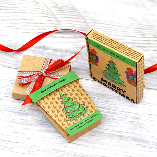 Merry Christmas Fir Tree Grow Pot Kit