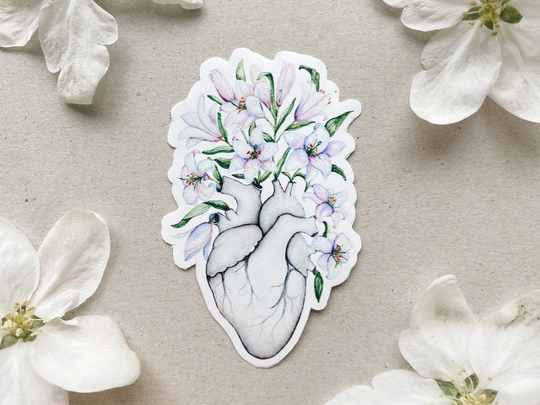 Floral Human Heart Sticker With Lilies Blooming Anatomy, Valentines Love Gift, Anatomical Slaps Bumper White Or Transparent Vinyl