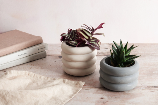 Round Concrete Plant Pots, Indoor Concrete Planter With Drain Hole Option, Two Sizes & Multiple Colours Available