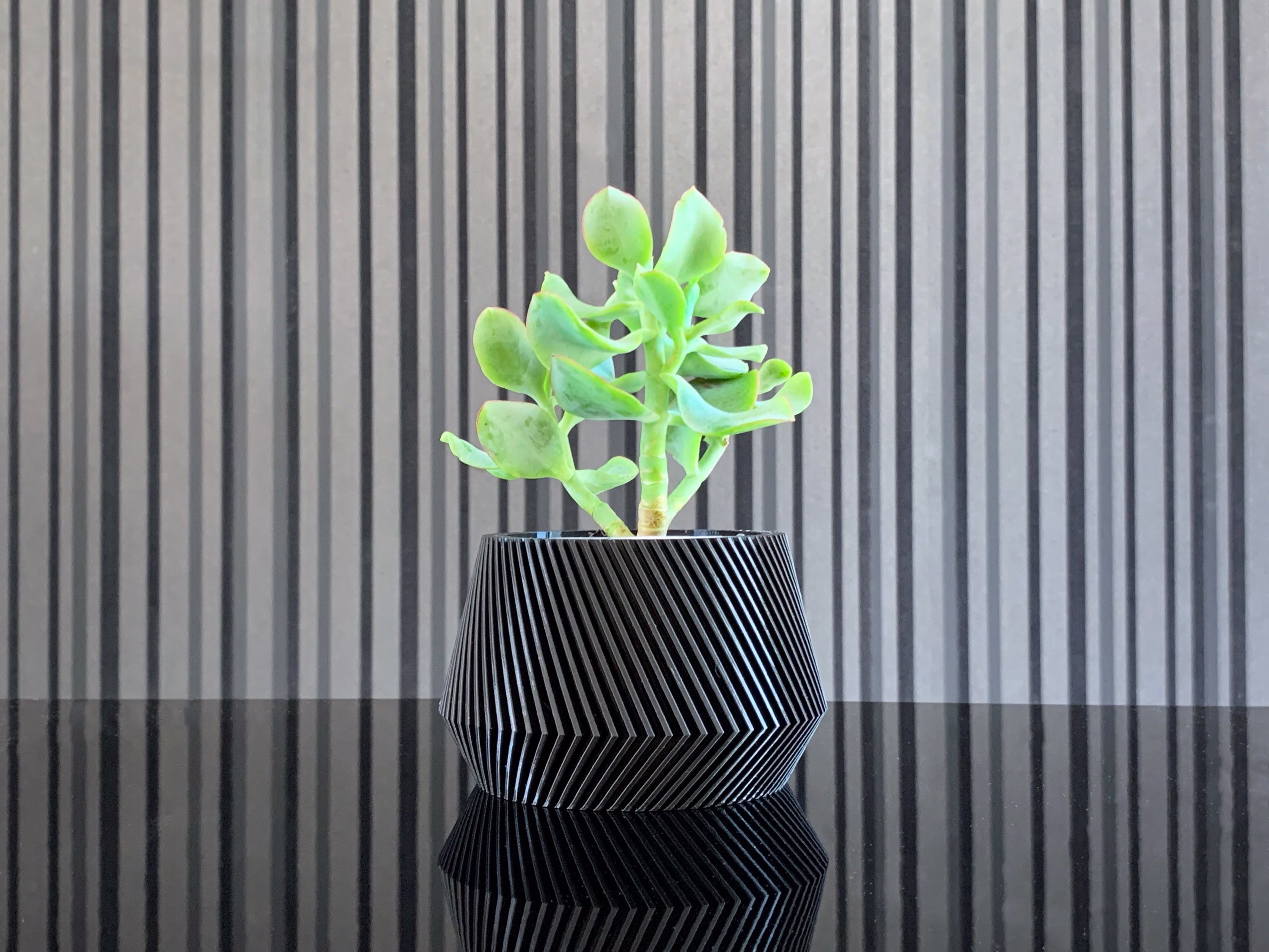 Modern Indoor Plant Pot - Succulent & Cactus