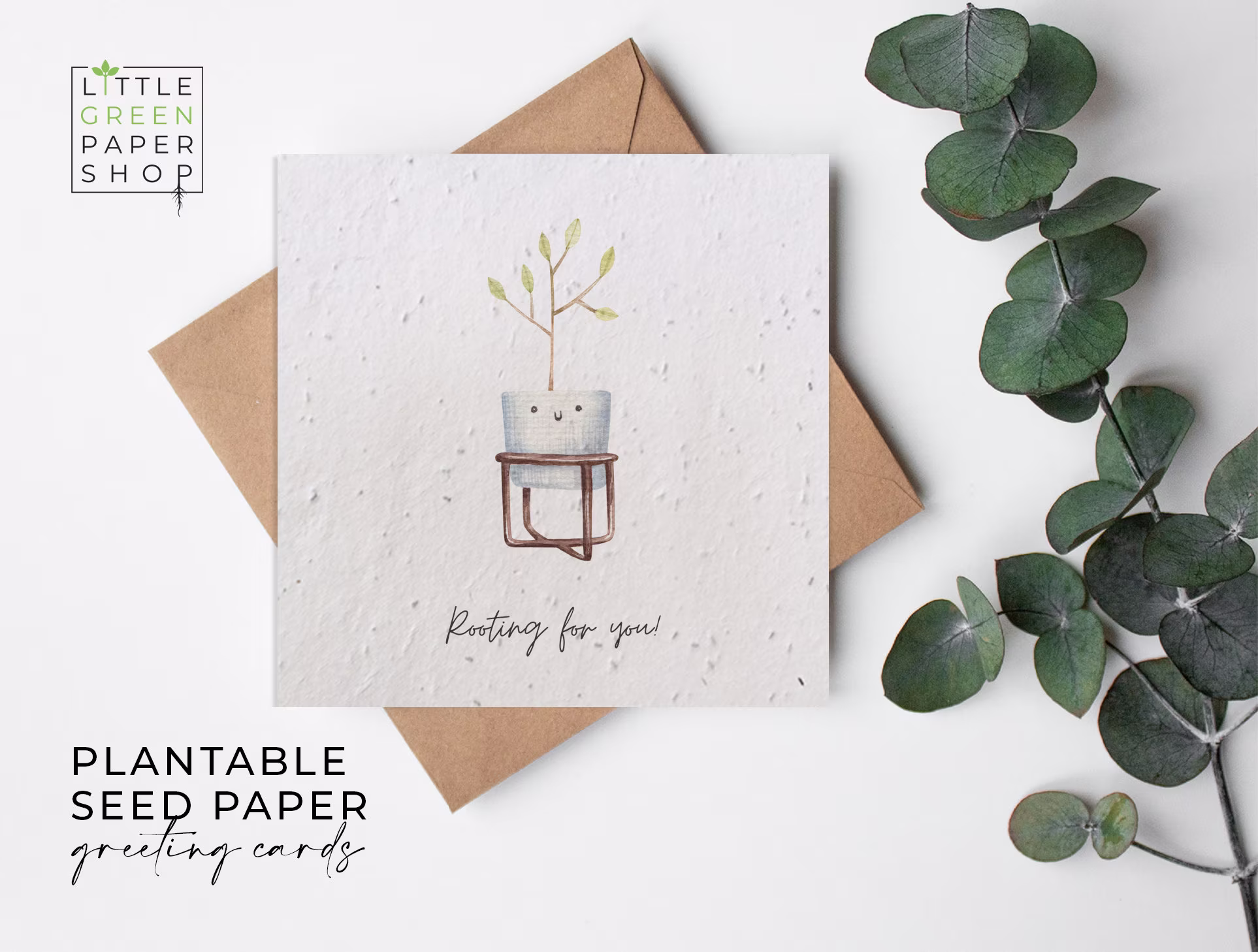 Plantable Flower Seed Paper Cards - Congratulations Well Done, Thinking Of You, Pun, Joke, Friends, Family, Eco-Friendly, Biodegradable