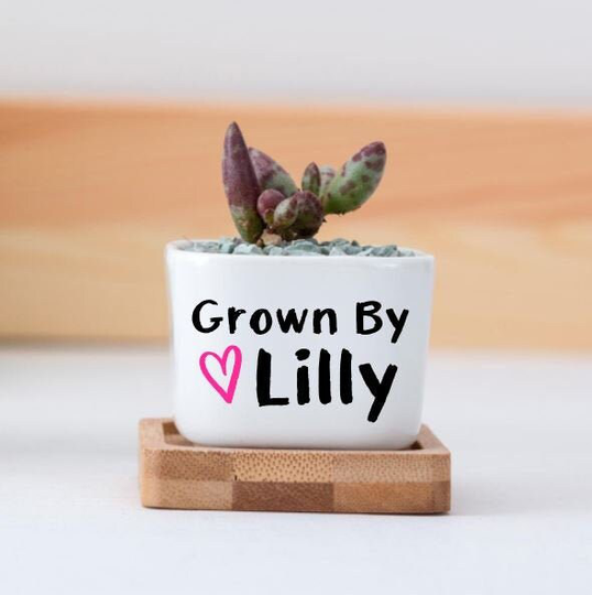 Gift For Daughter, Son, Child Gift, Planter, Succulent Pot, Personalized