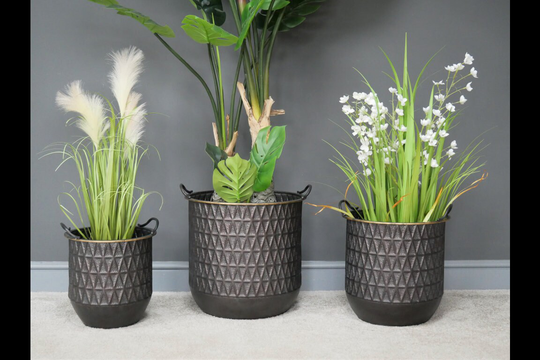 Beautiful Set Of 3 Indoor Planters