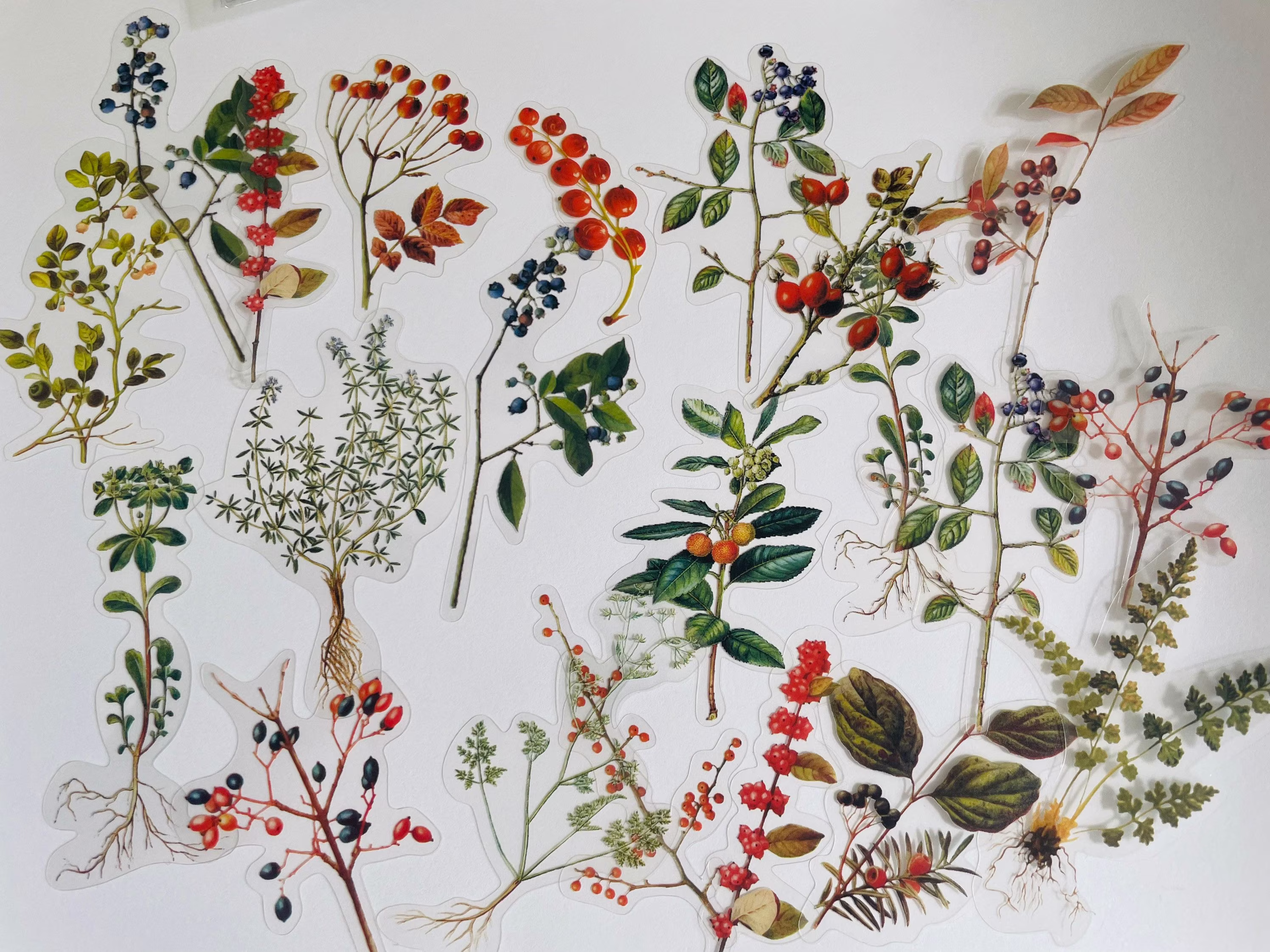Floral, Berries & Herbs Sticker Set, Wild Flower, Leaves Stickers, Rosemary Hippie Boho Floral Meadow Flower Stickers