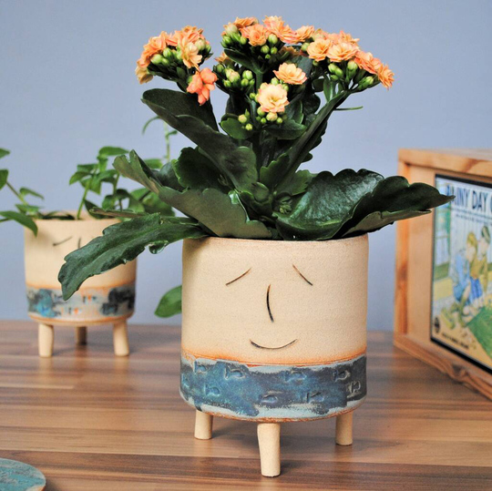 Personalised Smiley Face Fish Planter Green