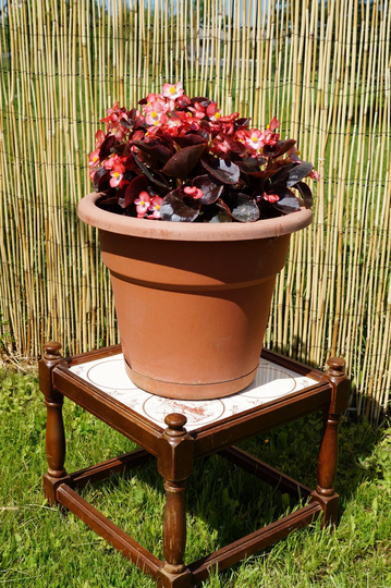 Vintage Flower Pot Stand, Retro Shelf, Low Bench, Flower Pot Stand, Wooden Stand
