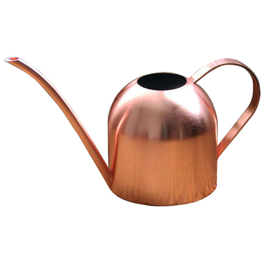 Metal Watering Can,Vintage Watering Kettle with Long Spout, Steel Plant Waterer Pots for Water Tiny House Plants, Succulents, Bonsai or Herb Gardens
