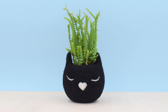 Black Cat Lover Planter, Pet Accessories, Mom Gift For Her, Animal Christmas Pet Owners, Unique Succulent Planter