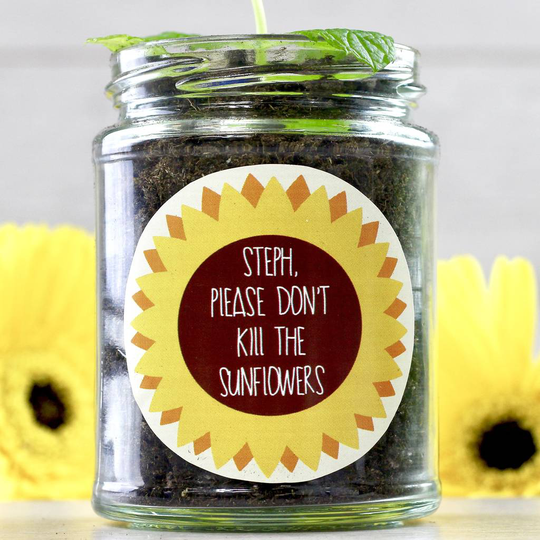 Personalised 'Don't Kill Me' Sunflower Jar Grow Kit