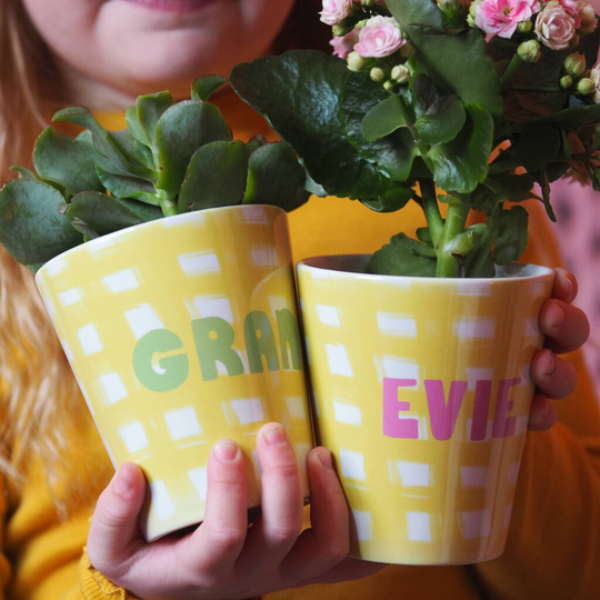 Personalised Gingham Easter Plant Pot With Seeds