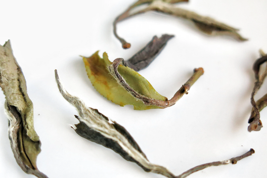 2018 Charcoal Dried Baimudan