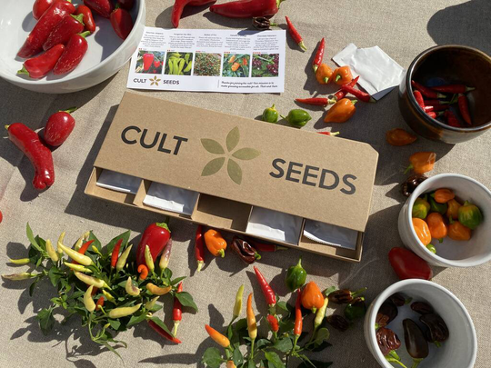 Grow Your Own Chilli Seeds Selection Pack