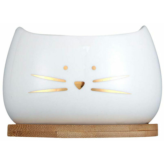 Echoo - Cute Cat Cactus Flower Pot Succulent Pots Ceramic Planters White (White2)