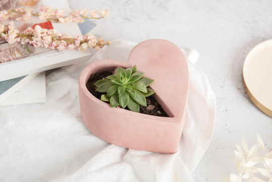 Concrete Heart Plant Pot, Solid Elegant Design Shaped Like A Heart With Plant Void. Available in Several Concrete Colours