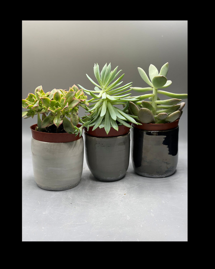 Minimalist Gray Succulent Planters