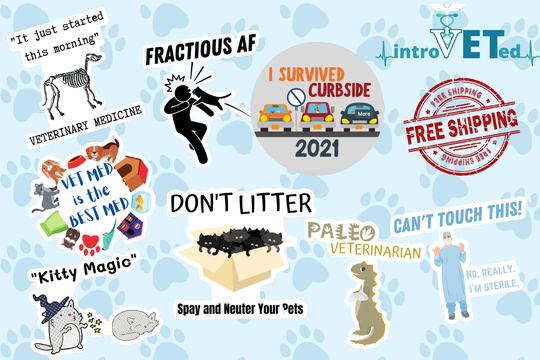 Surprise Veterinarian Sticker 5-Pack, Surprise Vet Tech 5-Pack, Vet Student Stickers, Dvm Sticker, Dog Stickers, Cat Stickers, Vet