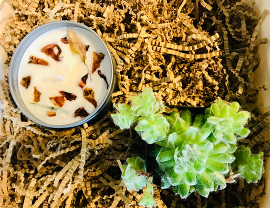 Succulent & Candle Gift Box~ Birthday Present ~ Thank You Congratulations Housewarming~ All Special Occasions