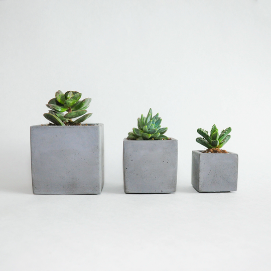 Charcoal Square Concrete Planter