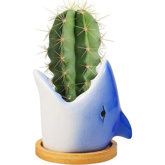 Ceramic Plant Pot, Animal Succulent Pots Cactus Succulent Plant Pot, Indoor Plant Pot Decoration for Office, Home - Shark