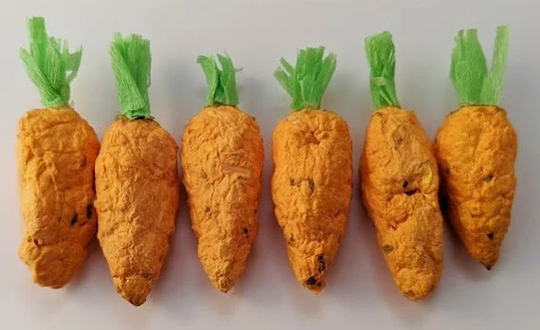 Carrot Seed Bombs, Grow Your Own Carrots Ball