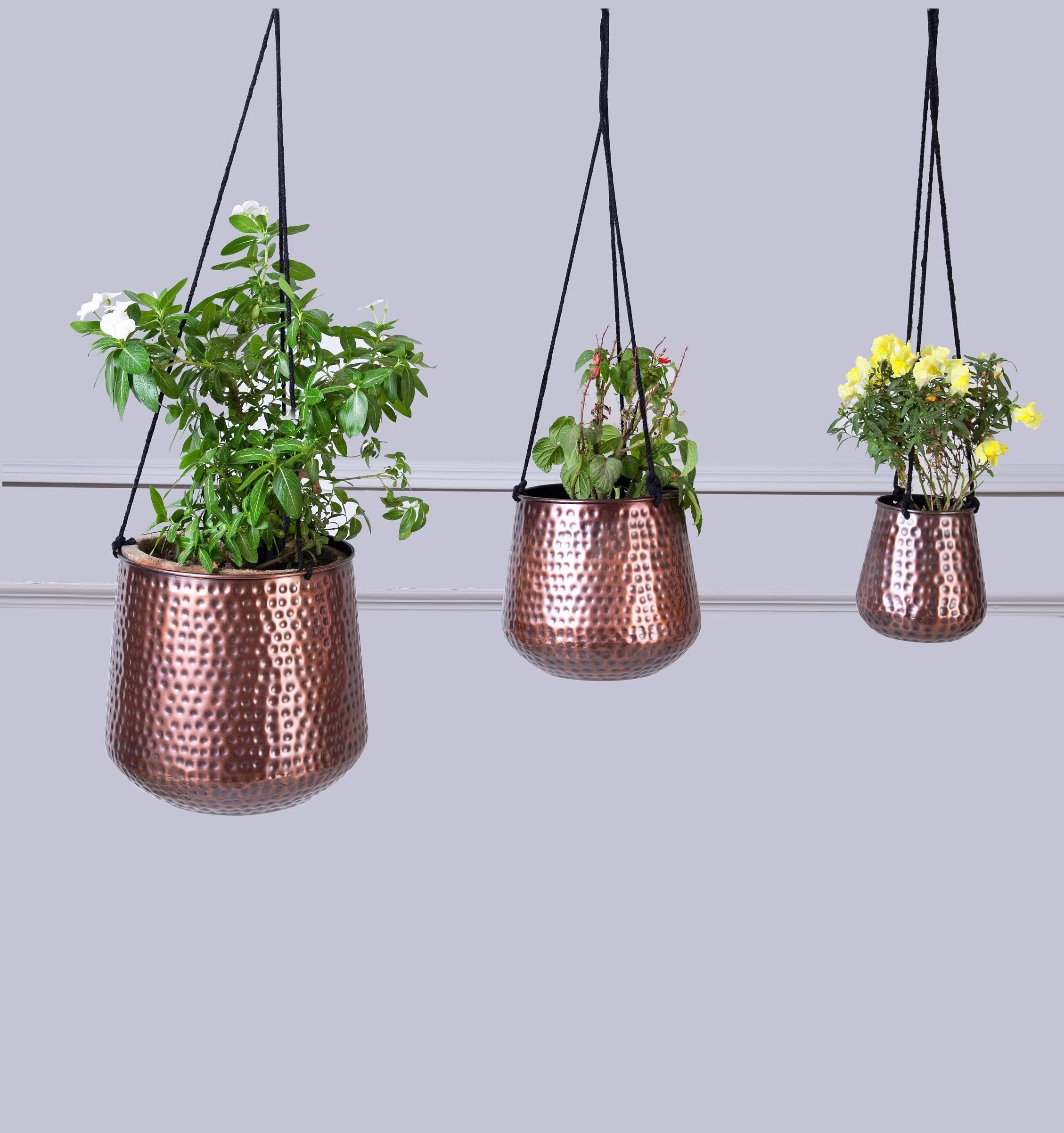 Hammered Hanging Planters/Contemporary Iron Plant Holders With Copper Finish Modern Available in 3 Different Sizes Or Set Of