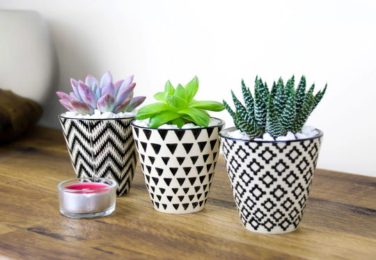 Set Of 3 Mini Geometric Planters With Succulent Plants | Modern Indoor Planter Kit Living & Decorative Gravel