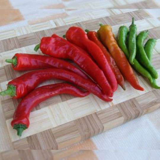 Chili Pepper Poseidon Seeds Open-Pollinating Non Gmo For Planting | 204560