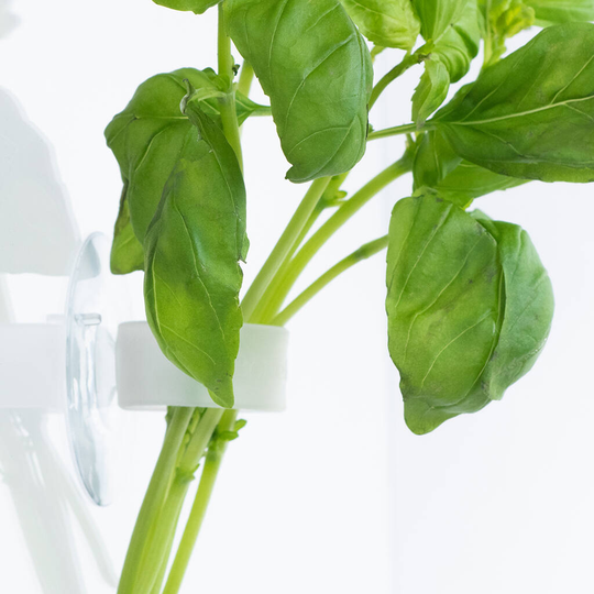 Bottle Farm Grow Clips, Suction Pad Plant Clips